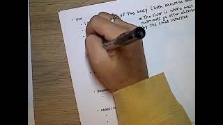Ch. 9 Digestive System II Lecture Notes