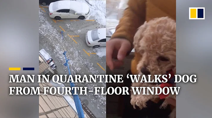 Chinese man in quarantine ‘walks’ dog from fourth-floor window - DayDayNews