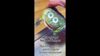 Frog Angrily Declines Invitation To French Restaurant