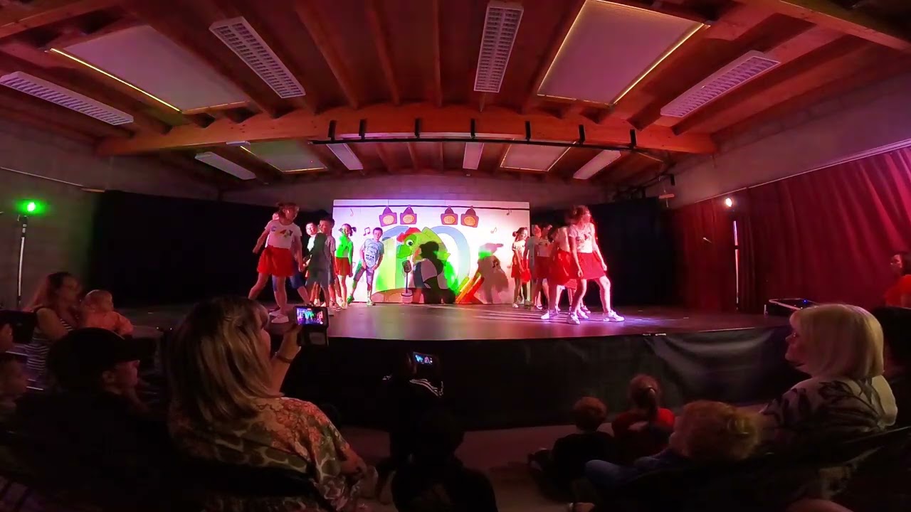 Schoolfeest - 10 om te zien - 4LS