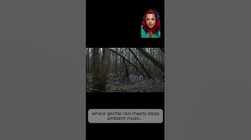 Thumbnail of Relax With Rain Sounds in a Dark Forest!