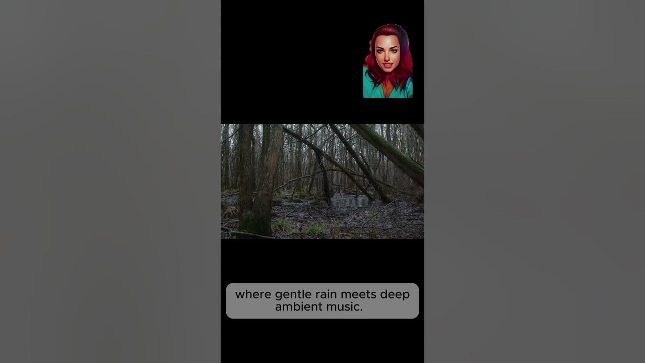 Relax With Rain Sounds in a Dark Forest!