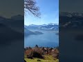 SWIZERLAND  #shortvideo #swizerland #viral #lake