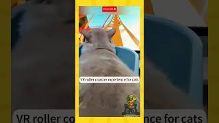 #1 Crazy Cat Ride on a Roller Coaster! 🐱🎉