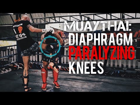 Paralyzing Knees with the Emperor Namsaknoi