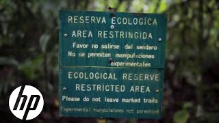 Earth Insights | HP