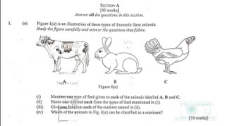 2026 BECE Integrated Science Paper 2 Questions & Answers