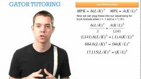 Managerial Economics - Cost Minimization