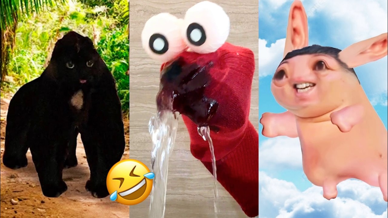 Nonomen funny video😂😂😂 BEST Nonomen Funny Try Not To Laugh