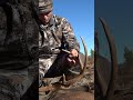 Tune in tomorrow at 4 to see this hunt and story go down!! #hunting #storyline #bigbuck #georgia