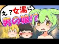 ホントは男の子だけど女湯に入っちゃったずんだもん