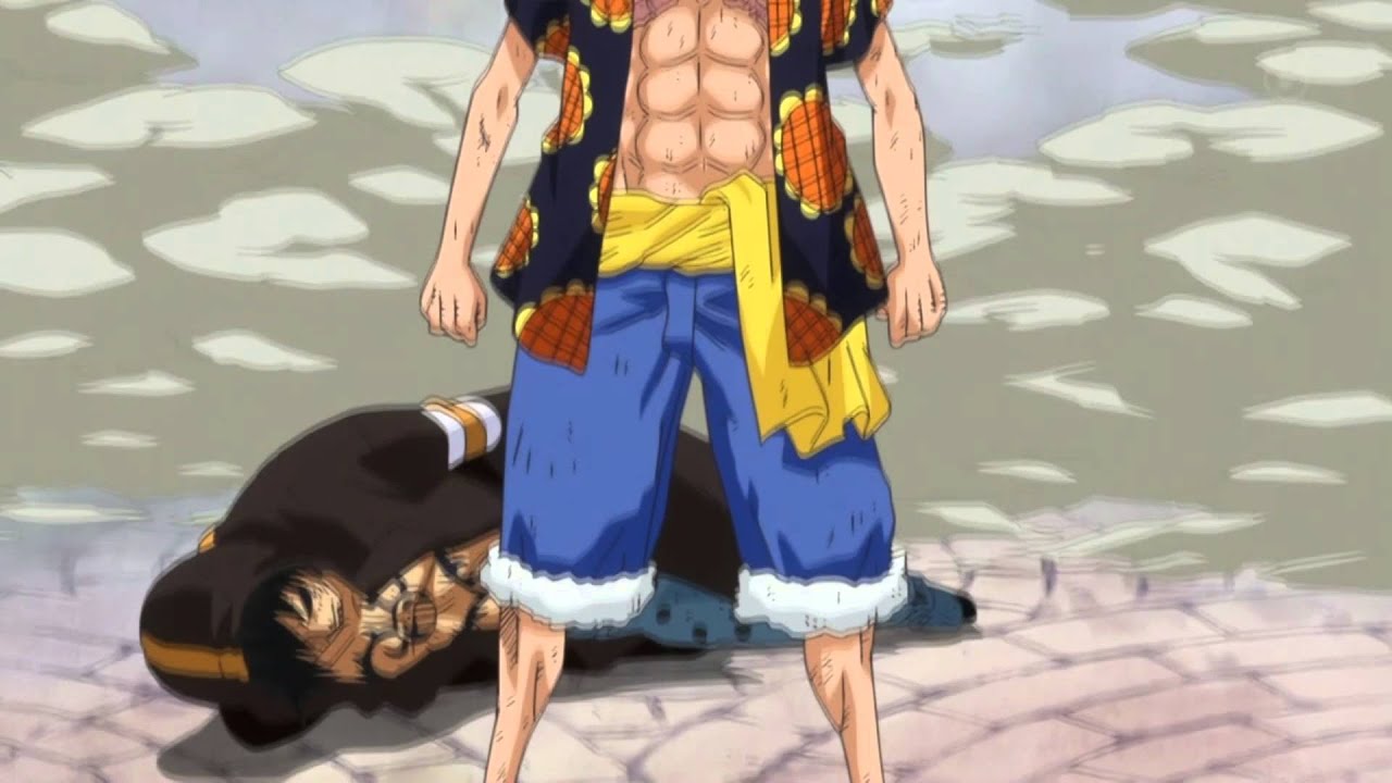 Luffy and Zoro vs Fujitora Ep 683 [Full Fight] [HD] YouTube