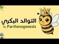 Parthenogenesis 