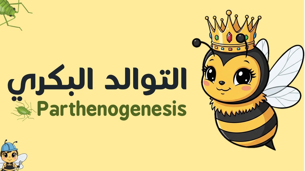 التوالد البكري Parthenogenesis