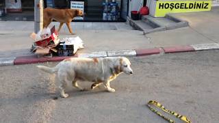 Sabah Saat 06 Karabük Caddeleri