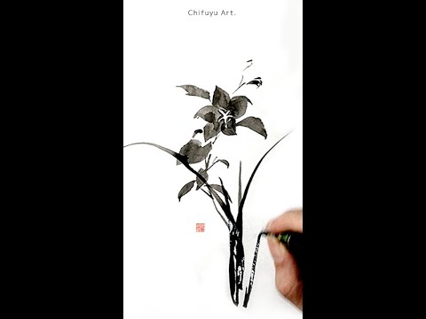 筆ペン墨絵 桔梗 水墨画 Shorts 秋 花の描き方 基本 初心者 Youtube