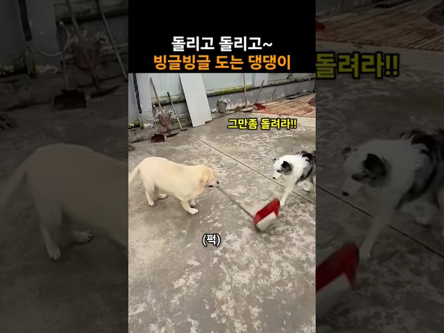 돌리고 돌리고~ 언제까지 돌래?