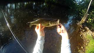 Bass fishing the Upper North Branch Raritan River