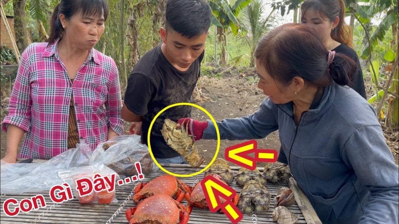 Cả nhà Thuận Gòm Ngơ Ngác khi lần đầu tiên nhìn thấy con Tôm Lạ