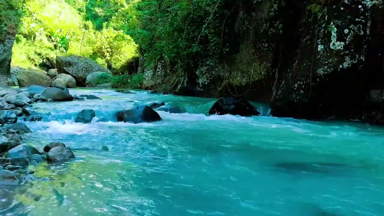 Calming Sound of Mountain River - Nature Sounds, Flowing Water, White Noise for Sleeping