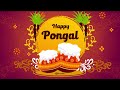 Happy Pongal | Happy Pongal Greetings | Whatsapp Status | Motion Graphics  | After effects templates