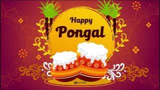 Happy Pongal | Happy Pongal Greetings | Whatsapp Status | Motion Graphics  | After effects templates