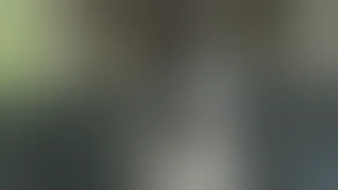 Thigh High Boots from Fernando Berlin