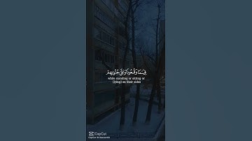 آيات من القرآن الكريم #اكسبلور #لايك #حالات_واتس #راحة_نفسية