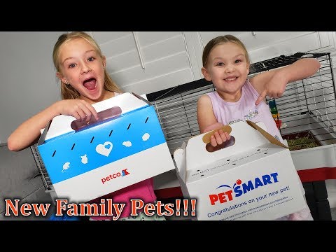 New Family Pets for Trinity and Madison! It's So Fluffy!!!