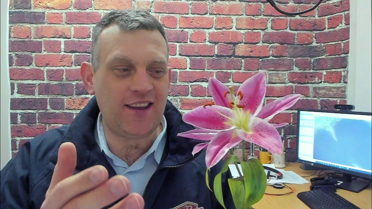 How to remove pollen from your carpet YouTube