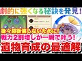キノコ伝説 遺物育成の最適解！戦力2割増しが一瞬で叶う！後々超後悔しないために今見てほしい理由があります！ #キノコ伝説 #キノ伝