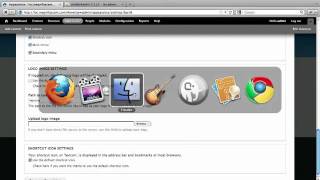 11. How to work around the disappearing logo bug (a Drupal how-to)