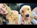 come pick up my puppy with me! | vlog