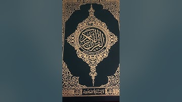 سورة الفجر بتلاوة القارئ أمين