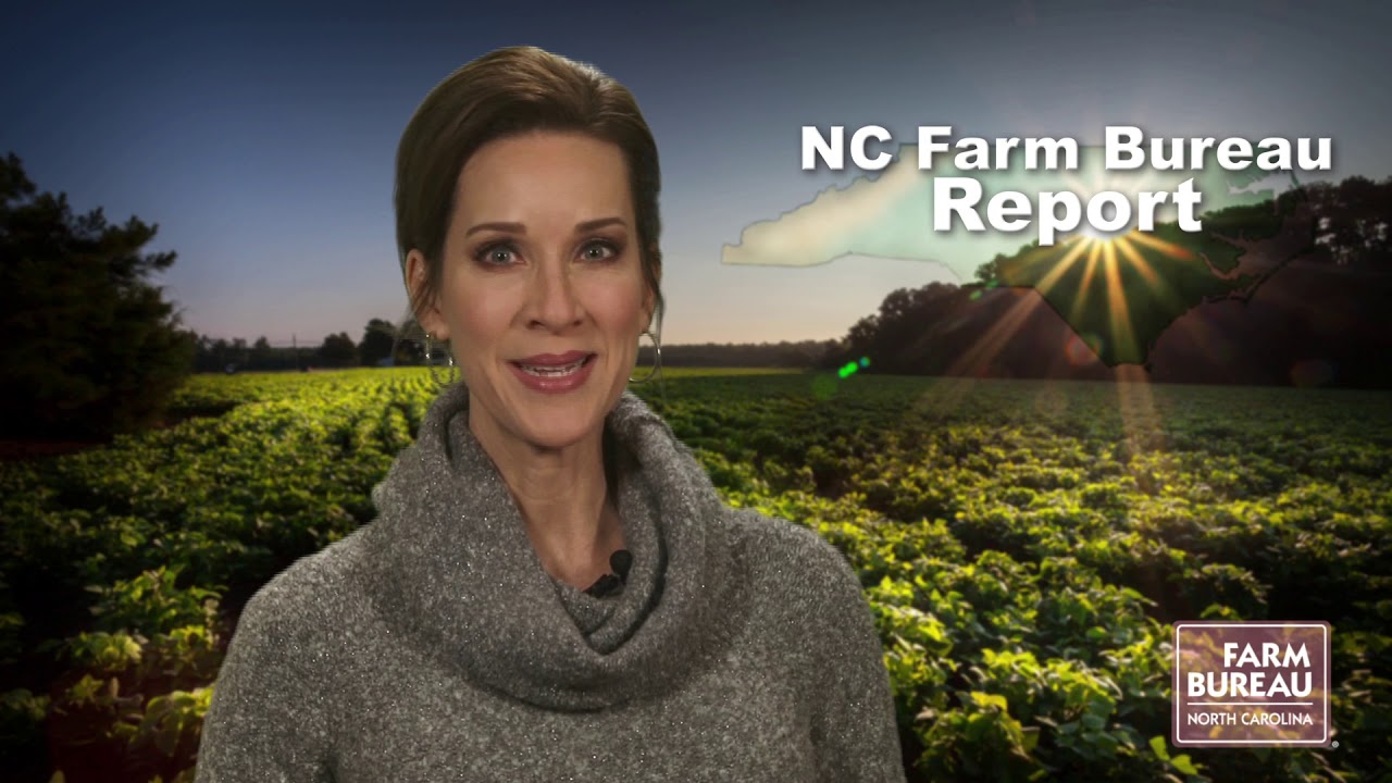 NC Farm Bureau Report for Feb. 21, 2020 YouTube