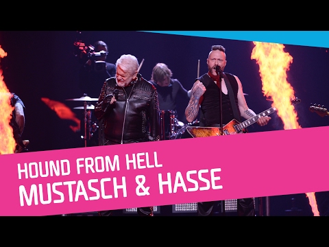 Video: Mustasch, tassar, svans - det här är hans dokument