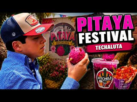 ¡No te pierdas este recorrido por el Festival de la Pitaya!