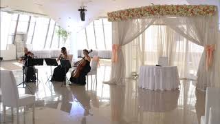 Wonder Strings Goes Romantic   Love Me Tenderelvis Presley Cover