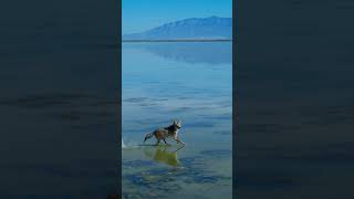 Secrets Beneath the Surface: Discover the Great Salt Lake