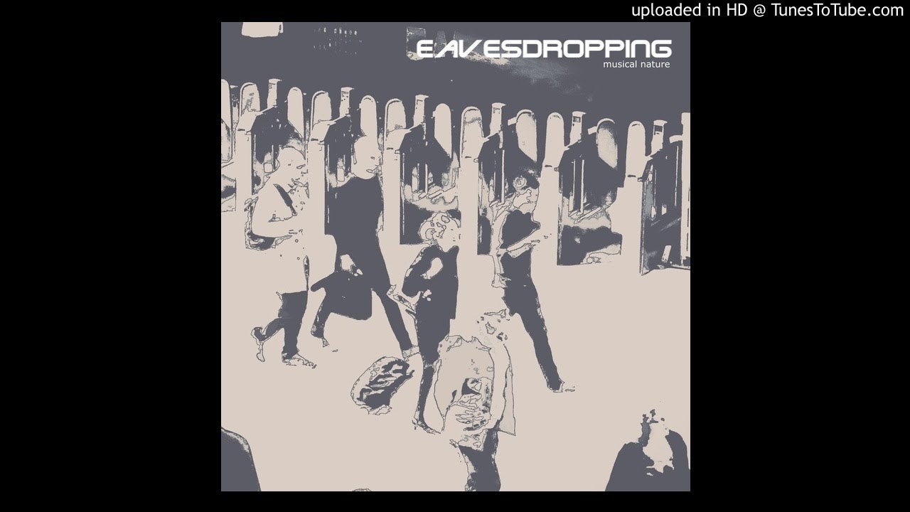 Common Code from the album Eavesdropping by musical nature