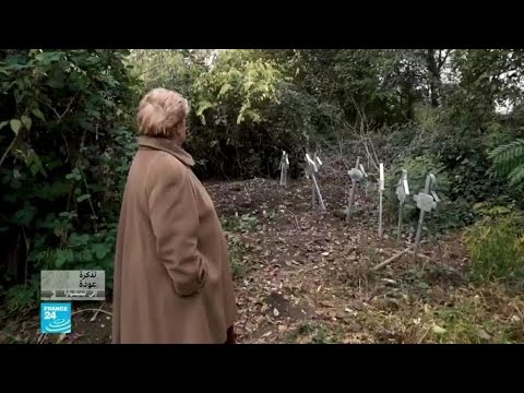 رومانيا تذكرة عودة إلى تيميشوارا