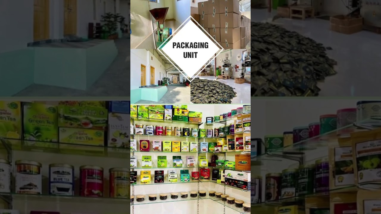 kangra Green natural green tea.