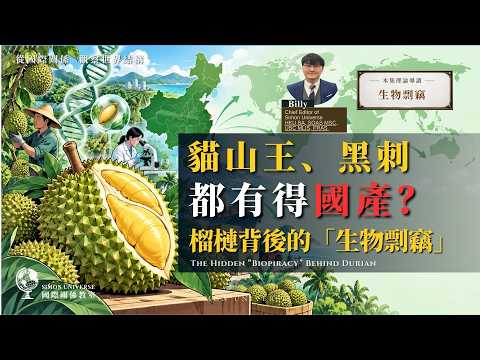 中國海南大規模種榴槤：貓山王、金枕都可以國產？榴槤背後的「生物剽竊」戰爭｜生物剽竊｜Simon Universe｜國際關係教室 116｜大學堂｜ 🇨🇳🇹🇭🇲🇾｜