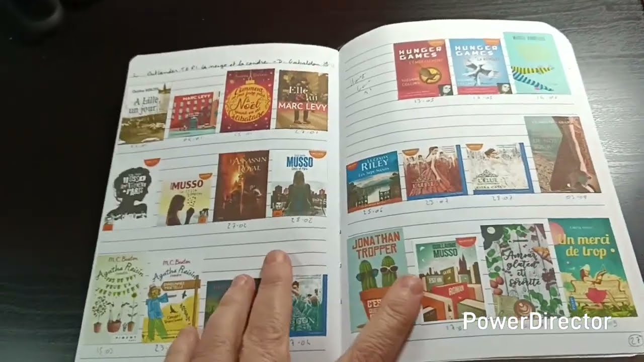 Bullet Journal et carnet de lecture. 2025 et 2026