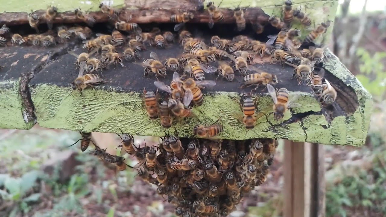 Uma coisa muito estranha está acontecendo☝️