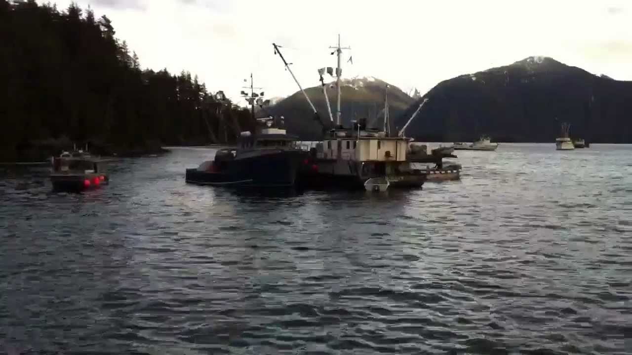 3rd Opener Sitka Herring 2011 YouTube