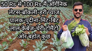 buy organic vegetables - organic  vegetables farm tour | organic farms
