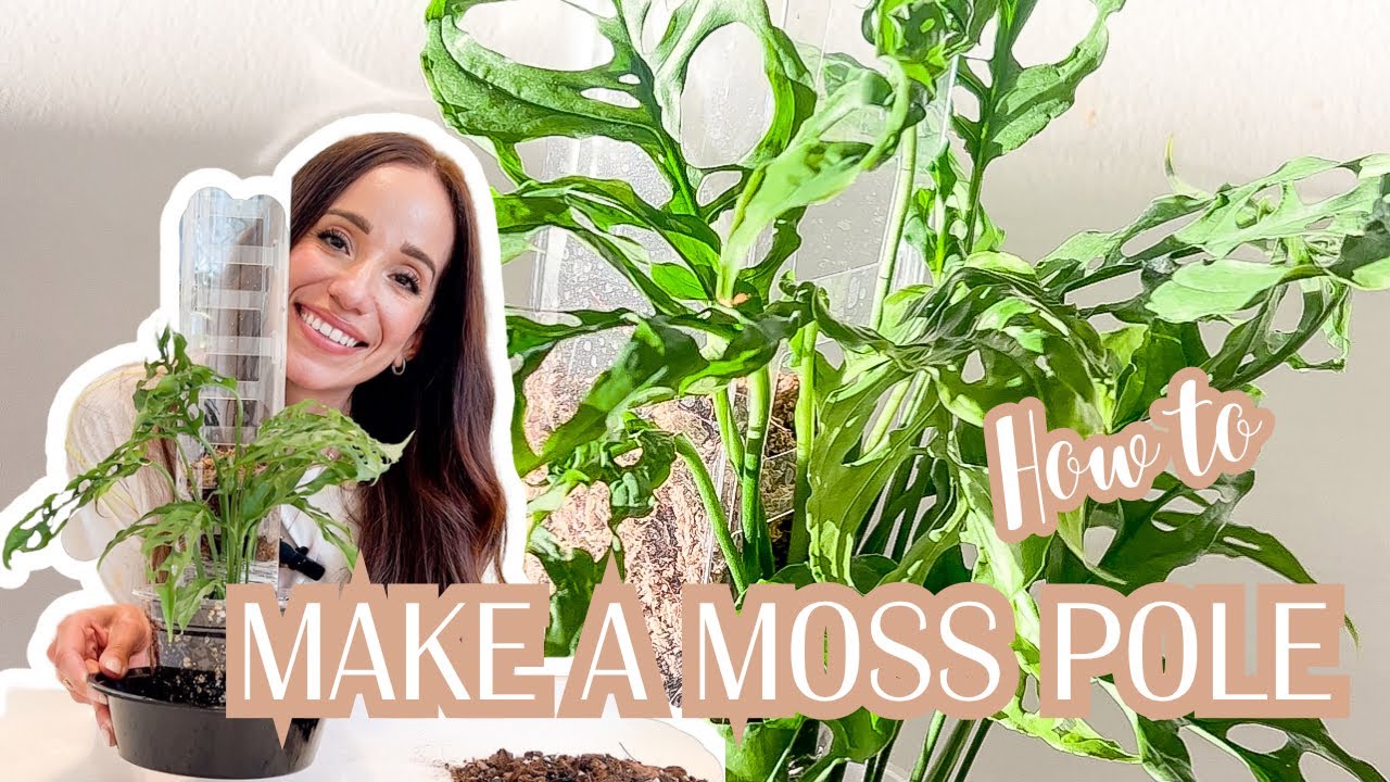 How to Make a DIY Moss Pole - Ponics Life