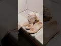 Elegant South Asian Wedding with Modern Touches | Irvine, California | Love and Life Events