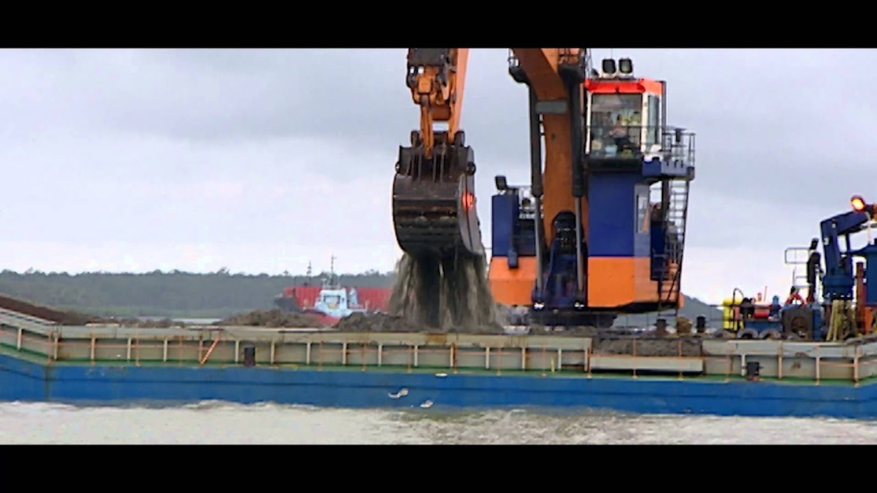 Qld election - vote to protect the Great  Barrier Reef – fightforthereef.org